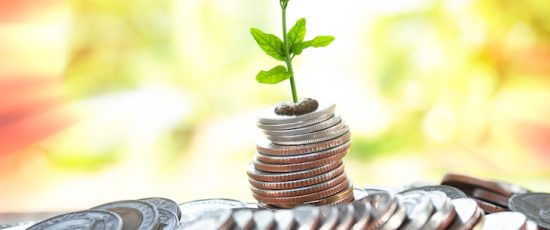 Evolución de los mercados – Renta Fija